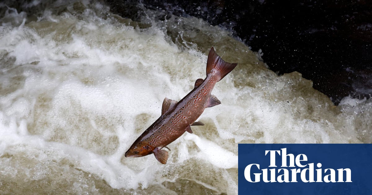The week in wildlife