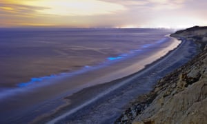 Incredible Bioluminescence Gives California Coastline An