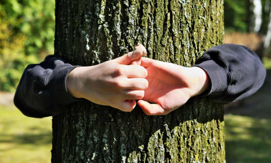 Kid’s hands embracing an oak tree trunk