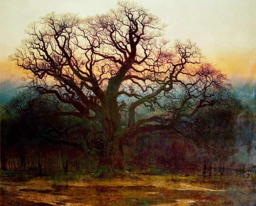 Major Oak, Sherwood Forest, Nottinghamshire (1882) by Andrew MacCallum