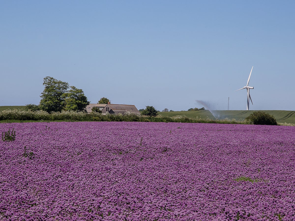 Energy Positive How Denmark S Samso Island Switched To Zero Carbon Guardian Sustainable Business The Guardian