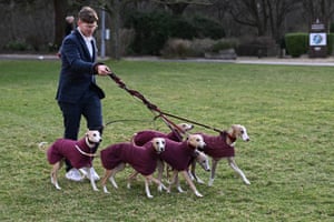 Six dogs arrive in matching coats ready for day two of the show