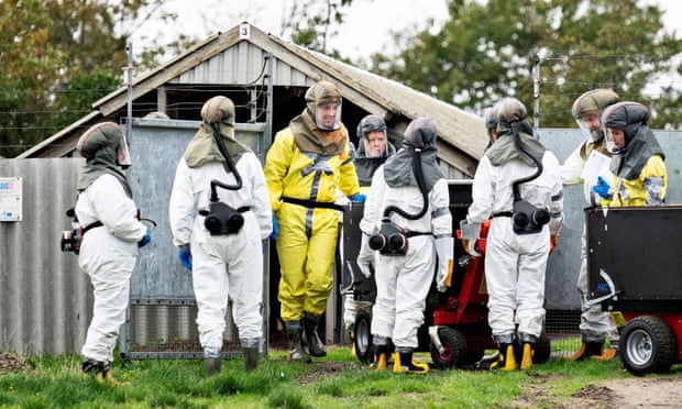 Employees from the Danish Veterinary and Food Administration deal with a Covid outbreak at a mink farm in Jutland in October. Photograph: Henning Bagger/Ritzau Scanpix/Reuters