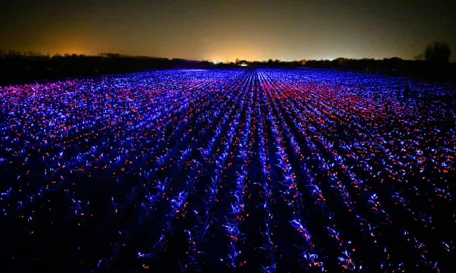 The installation at Lelystad could be moved to 40 other countries, once Covid allows.