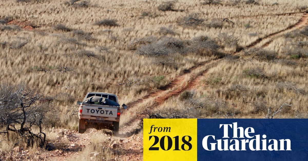 Pickup Truck For Short For An Aussie Crossword - GeloManias
