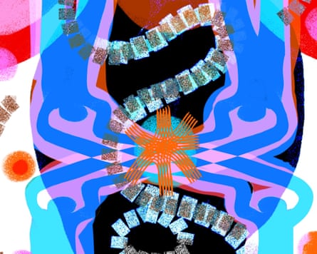 Ngadi Smart for the Guardian.