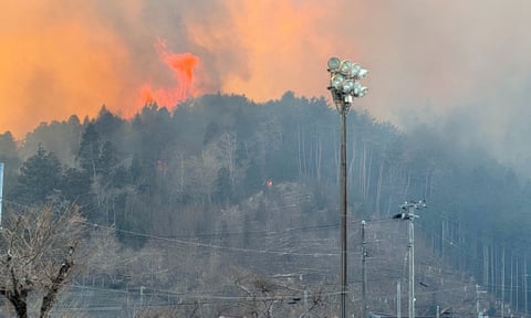 Flames and smoke coming from a forest on a hill in Japan