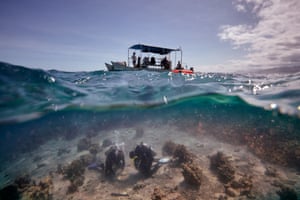 Scientific divers installing underwater cages in Fiji to test what happens to a reef without fish