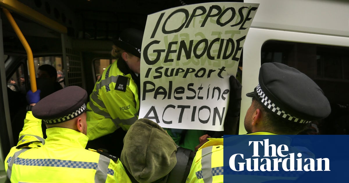 Palestine Action ban could lead to people being wrongly criminalised, Home Office official says