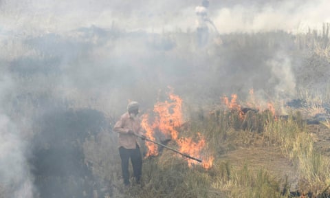 A farmer burns straw stubble in a field near Sultanpur Lodhi, Punjab