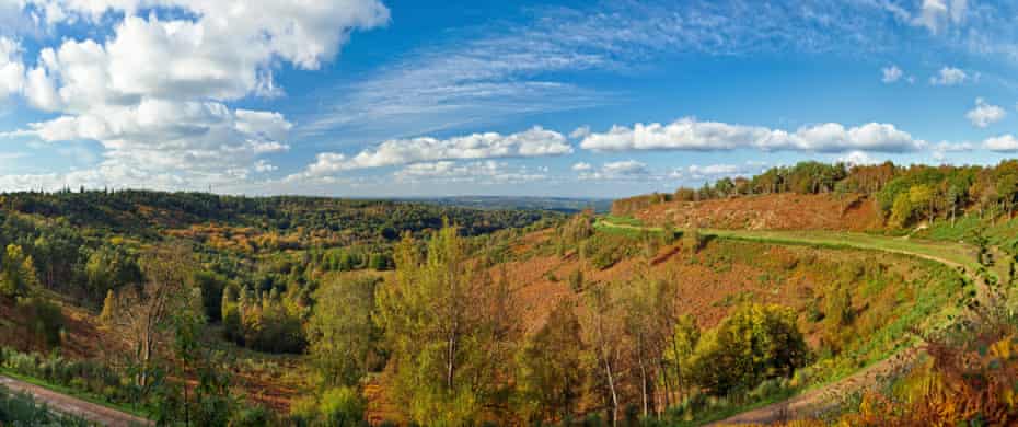 The former A3 London to Portsmouth road at Hindhead, after being restored back to heathland