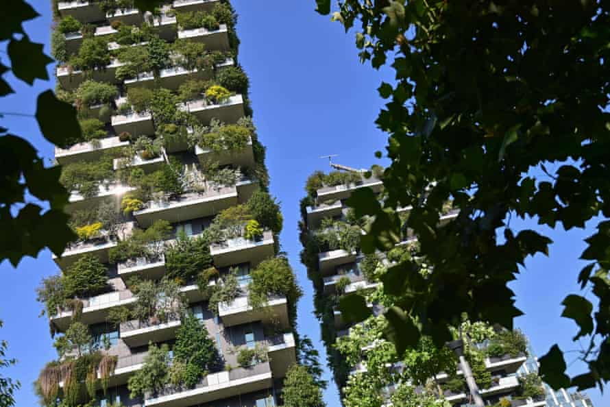 High-rise buildings covered in greenery