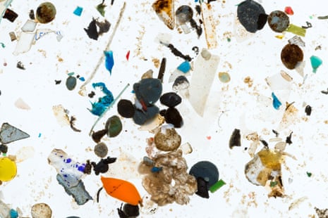 Close-up of microplastics and microbeads found in river water samples