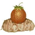 People gathered around a huge strawberry