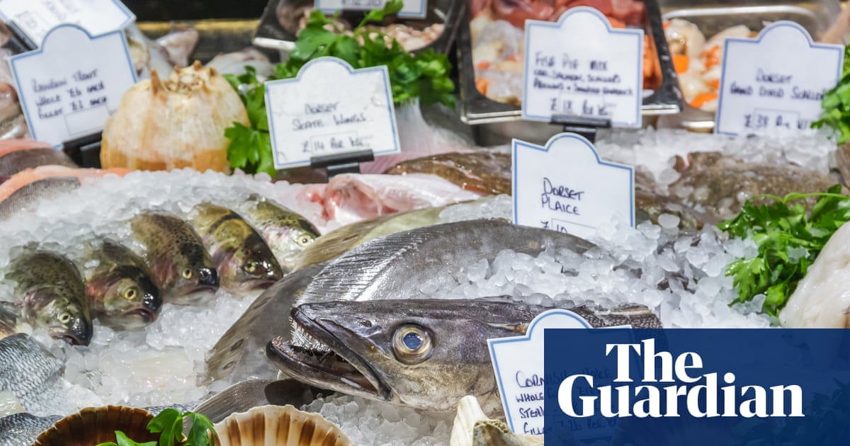 Scale back on hake and coley, seafood charity tells shoppers