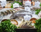 Scale back on hake and coley, seafood charity tells shoppers