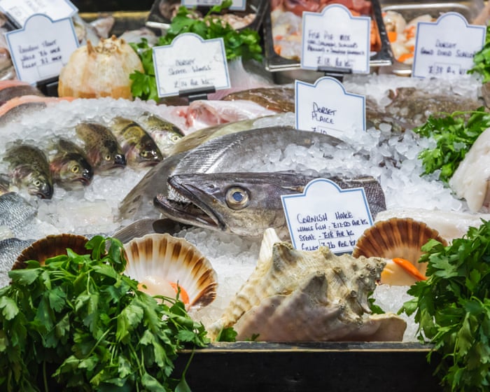Scale back on hake and coley, seafood charity tells shoppers