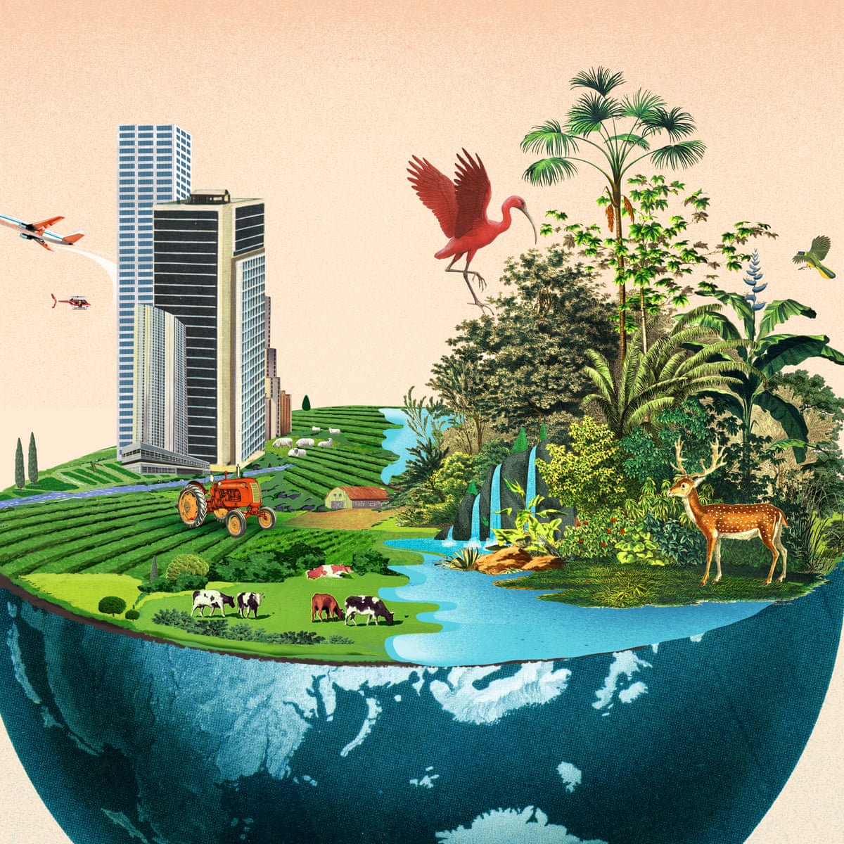 Biodiversity - Biology Simple