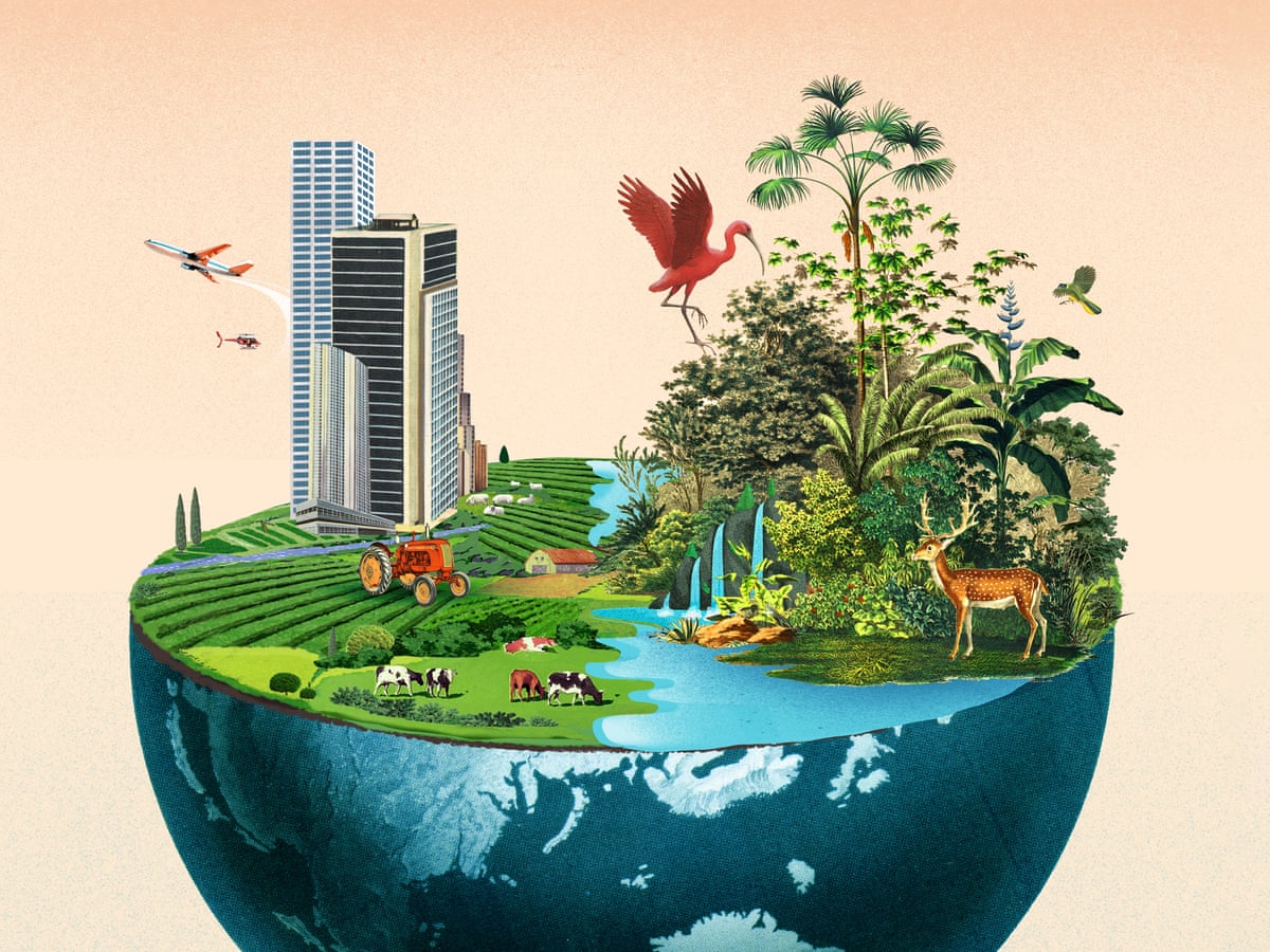 The biodiversity crisis in numbers - a visual guide | Cop15 | The Guardian