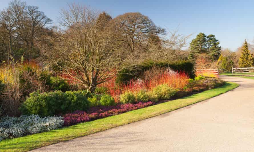 Early bloomers: 10 of the best UK gardens for late winter and early spring | Travel 4 The Winter Walk at RHS Garden Harlow Carr.
