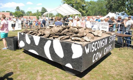 Wisconsin cow Chip Festival