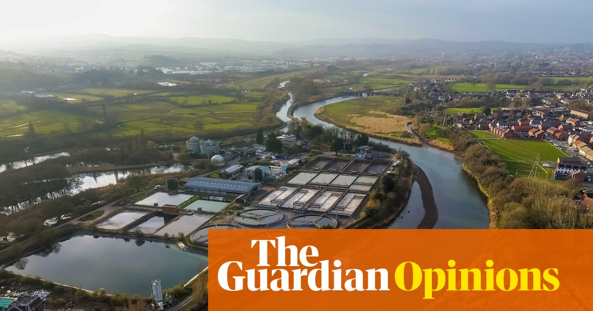 Burnham, take note: water shareholders have their uses – they can be squeezed for cash | Nils Pratley
