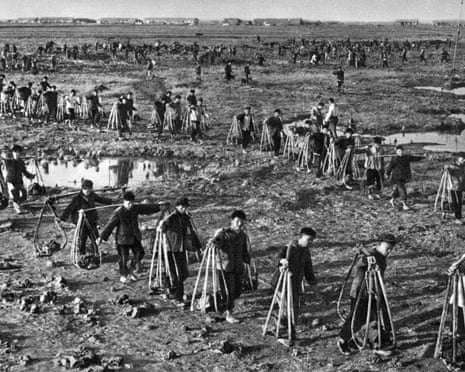 University teachers from Tsinghua and Beijing working to reinforce a dyke during the cultural revolution.