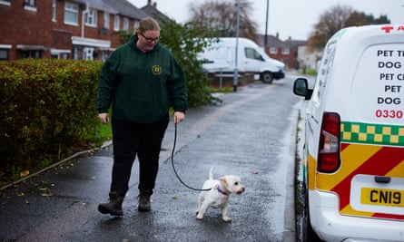Animal ambulances reply rising demand for pet emergency care | Animal welfare