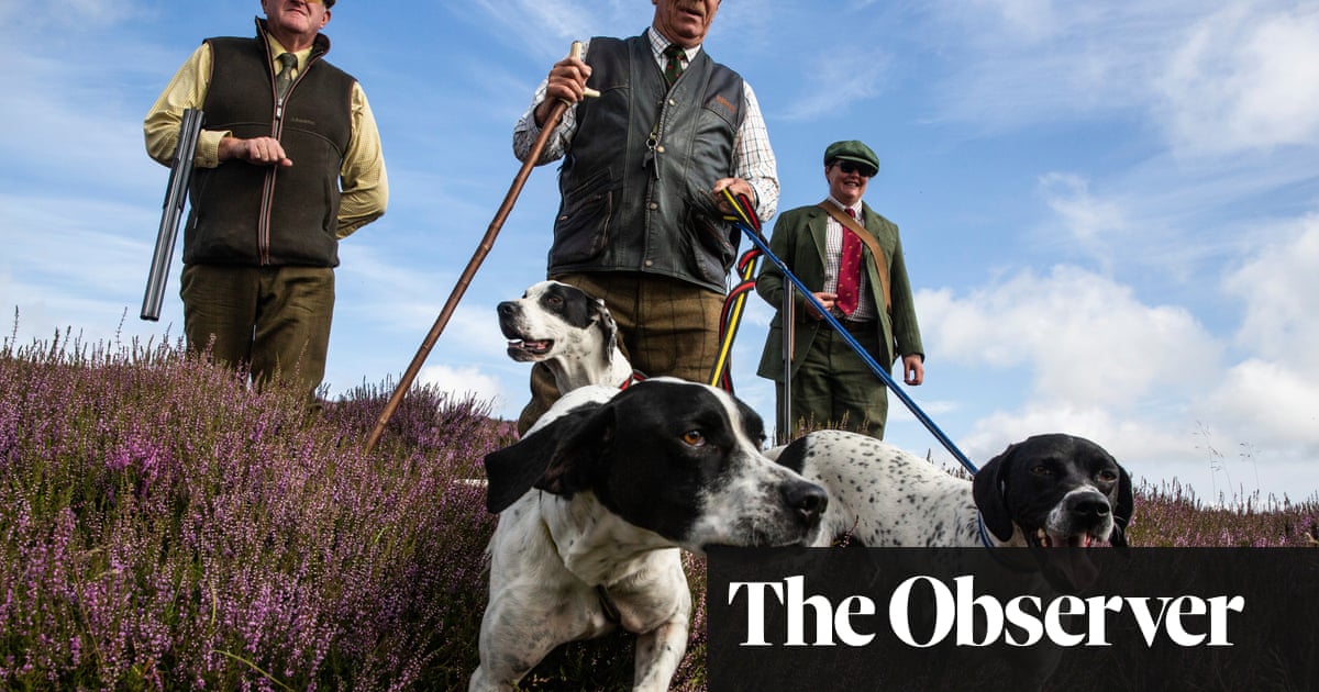 Hunting, shooting and taxing: call for grouse estates to pay green levy
