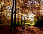 The September reset is real. I’m about to become a better person, flaxseed by flaxseed | Emma Brockes The September reset is real. I’m about to become a better person, flaxseed by flaxseed | Emma Brockes