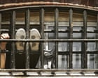 Wednesday briefing: Why the prison crisis is about much more than early release