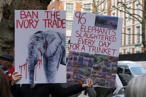 Animals right activists stage a protest outside the Nobel House in London, UK on 16 November to demand a full ban on the ivory trade