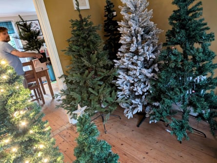 Assortment of Christmas trees erected in a living space