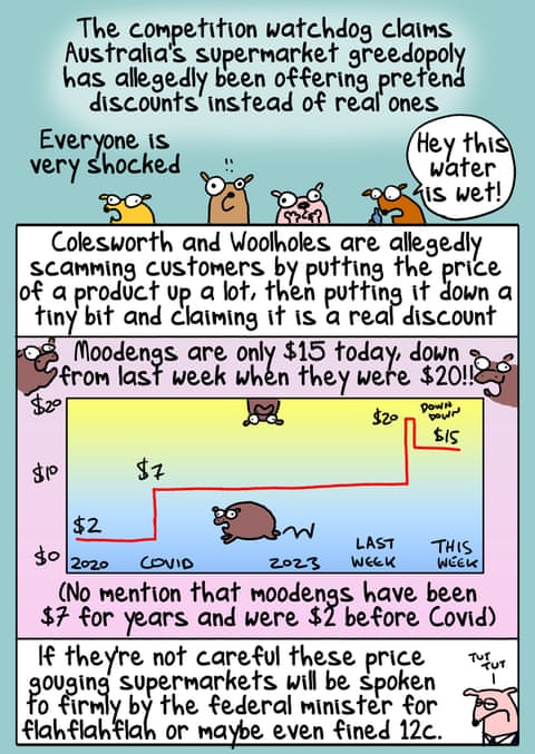 First Dog on the Moon (25/09): Grocery Cheats, panel 1