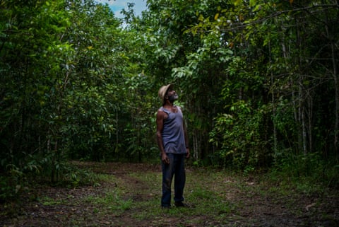 Andrew Solomon, a traditional owner of ‘Lot 46’, which was regenerated by Rainforest Rescue over a ten year period, looks up at the regenerated rainforest habitat on his land.