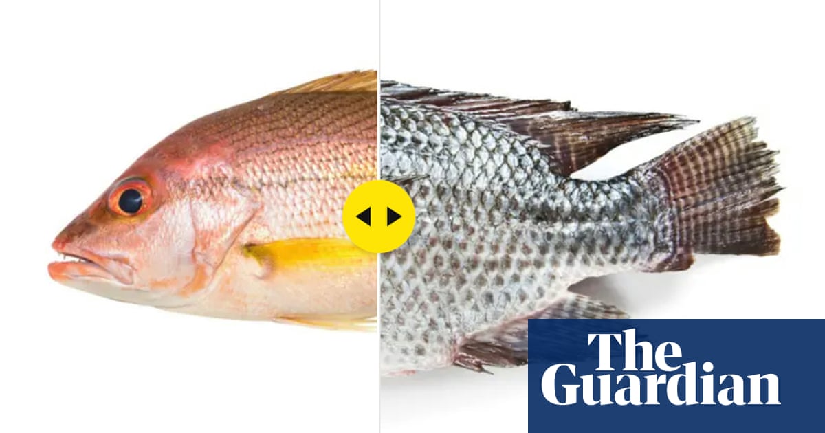 Could you spot the fish fake? Test your seafood fraud detective skills in our quiz