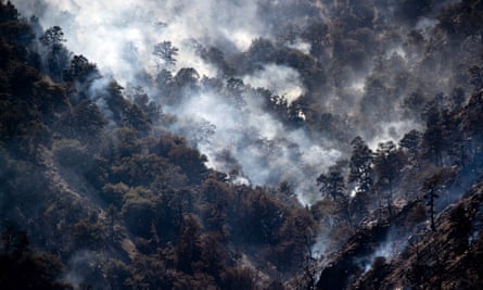 Sheep Fire near Wrightwood, California, in June 2022 burned through more than 990 acres.