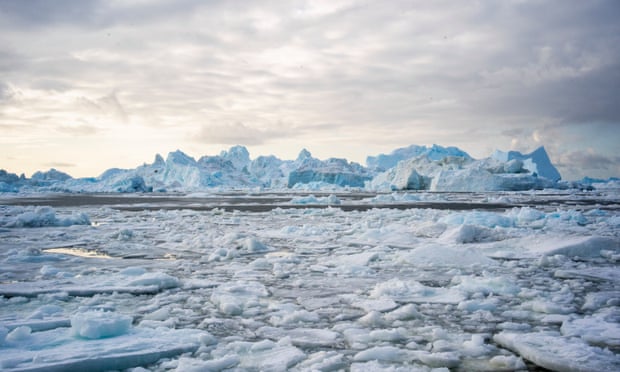 Floating ice in Greenland