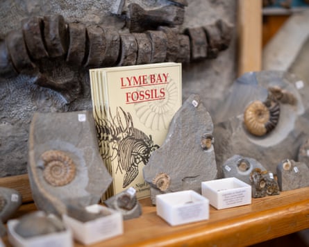 Fossils for sale in the local shop.