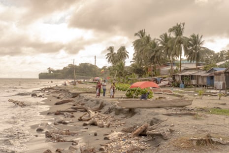 People walk along a beach strewn with large logs with palm trees growing behind it