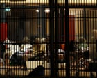 Ex-Tropical Cyclone Narelle: ‘Vulnerable’ evacuees from Katherine aged care homes housed in open-sided basketball court