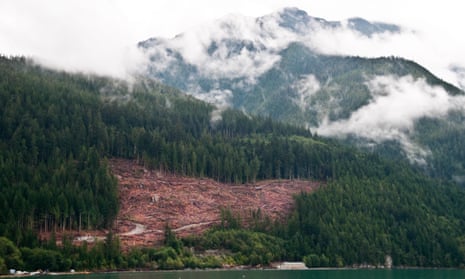 Logging near Bella Coola, in the Great Bear Rainforest, British Columbia, Canada.