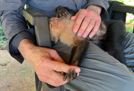 Making friends with Toto the capuchin monkey.