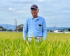 As Japan swelters, farmers turn to new heat-resistant rice varieties to boost staple crop