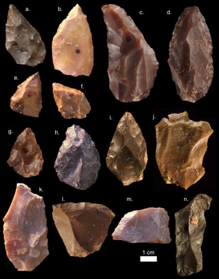 The tools found were based on a knapping technique called Levallois, adding to the realisation that the sophisticated way of shaping tools originated earlier than thought.