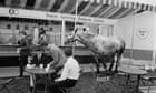 The big picture: Tony Ray-Jones goes in search of Englishness
