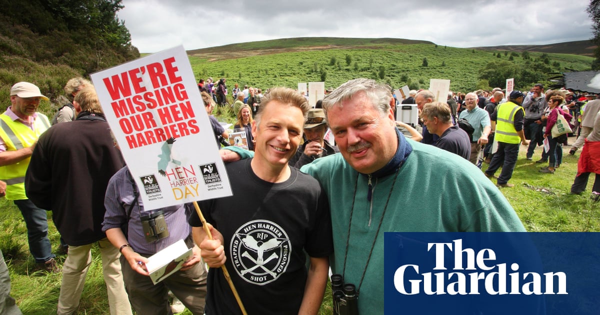 Environmental activist steps back from the fight ‘disappointed’ by Labour so far | Environmental activism Environmental activist steps back from the fight ‘disappointed’ by Labour so far | Environmental activism