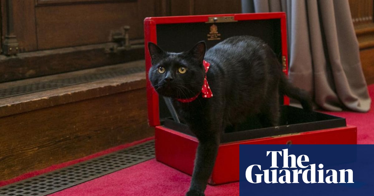 Purrlitical crisis Gladstone the Treasury cat reported missing UK