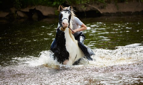 Horse in river