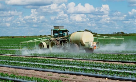 Farmers apply pesticides to bell peppers in Florida.